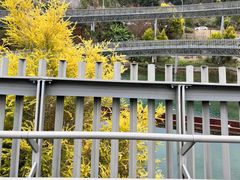 -福道