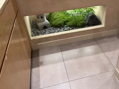 -YAMAKAWA(龙湖胥江天街店)