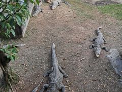 -三水森林公园