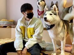 -Husky Go! 哈士奇体验馆·宠物咖啡厅狗咖