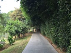 -厦门悦华酒店