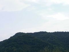 -照金香山旅游景区