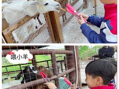 -珠海海泉湾神秘岛亲子乐园