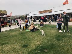 -栖露营camping·天幕烧烤·团建拓展·采摘营地
