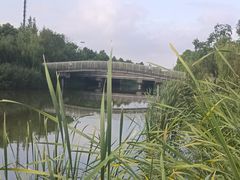-南翔镇银翔湖公园