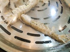 -港畔赶海蒸汽海鲜烧烤自助(仙螺岛店)