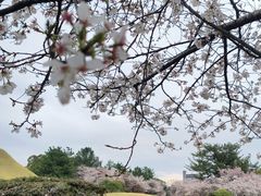 -水前寺成趣园