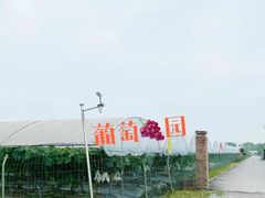 -金谷域澳洲庄园