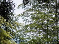 -江郎山风景名胜区