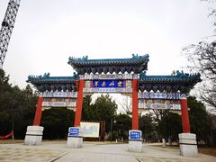 -云岗森林公园