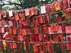 -香山公园