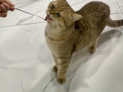 -南京国际贸易中心