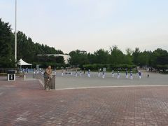 -朝阳公园游乐园