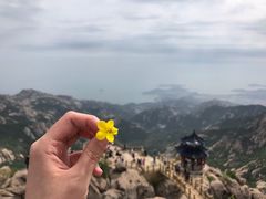 -崂山巨峰游览区