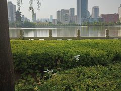 -迎泽公园