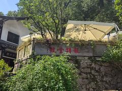 -龙井壹号·茶缘山景宴(龙井村店)