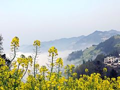 -石潭村