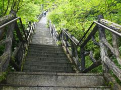 -汤旺河林海奇石景区