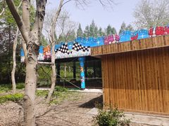 -上海滨江森林公园