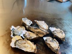 -福樱兰海鲜放题铁板烧(加州店)