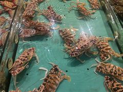 -鸿鑫海鲜楼(福辉店)