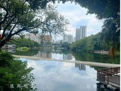 -荔湾湖公园