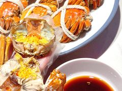 -杨氏青龙虾·羊肉季(金盛路总店)