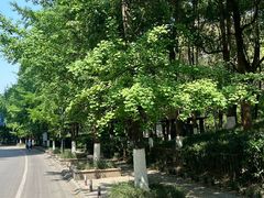-成都南湖公园