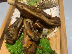 孜然烤羊排-丰收日(五角场店)