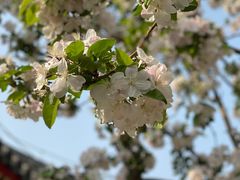 -大钟寺古钟博物馆