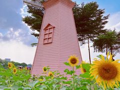 -顺峰山公园