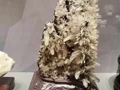 -湖南省地质博物馆