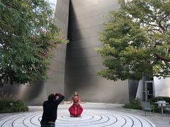 -华特·迪士尼音乐厅