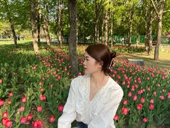 -长春公园(普阳街道)