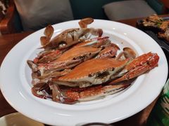 -新天明砂锅鱼头煲