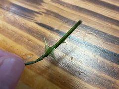 -燕北云山·农家菜·灶台鱼(密云溪翁庄店)