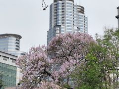 -弘阳·未来世界(弘阳广场店)
