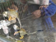 -西安秦岭野生动物园