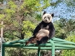-天津市动物园