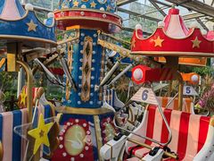 -南宫五洲植物乐园