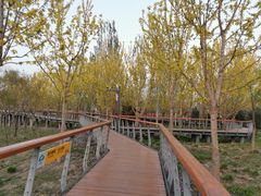 -东郊湿地公园
