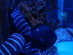 -太平洋海底世界