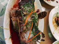 -四姑娘川味海鲜(八爪鱼店)
