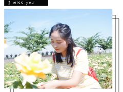 -曲江薰衣草庄园