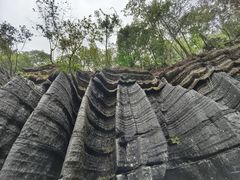 -梭布垭石林景区