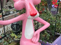 -杨厝六十六农庄农舍(杨厝路店)