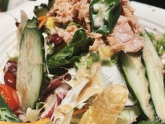 金枪鱼沙拉-千羽鹤海鲜居酒屋Bistro(大望路店)