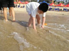 -西涌国际滨海旅游区