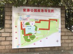 -嘉定紫藤园