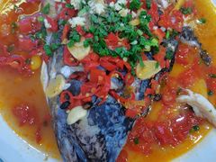 -全乐鱼馆·淳牌有机鱼直营店